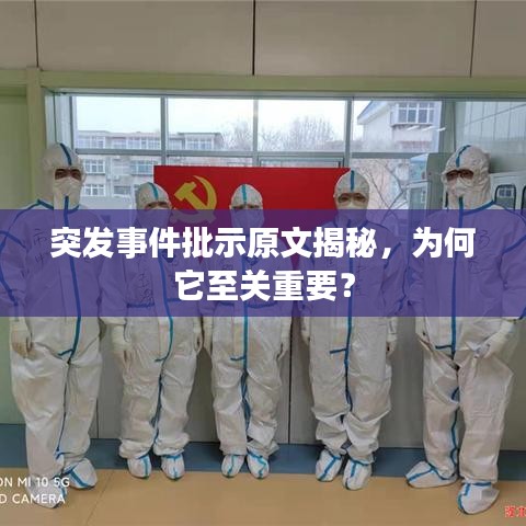 突發(fā)事件批示原文揭秘，為何它至關(guān)重要？