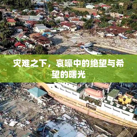 災(zāi)難之下，哀嚎中的絕望與希望的曙光