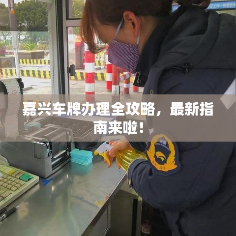 嘉興車牌辦理全攻略，最新指南來啦！