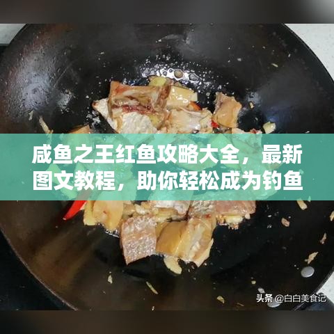 咸魚(yú)之王紅魚(yú)攻略大全，最新圖文教程，助你輕松成為釣魚(yú)達(dá)人！