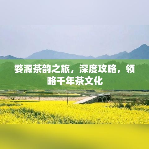 婺源茶韻之旅，深度攻略，領(lǐng)略千年茶文化