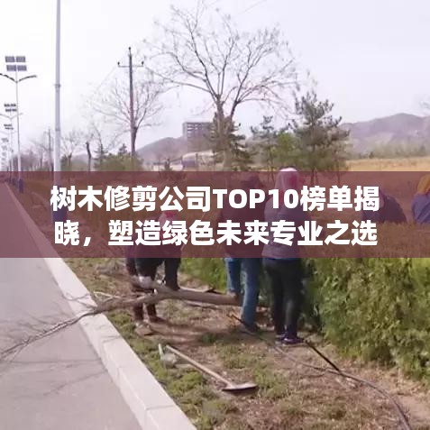 樹木修剪公司TOP10榜單揭曉，塑造綠色未來專業(yè)之選