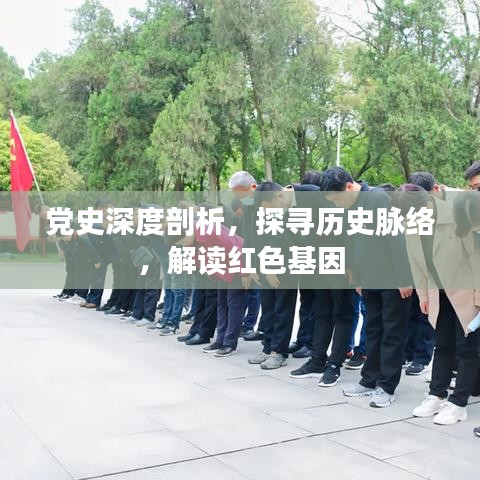 黨史深度剖析，探尋歷史脈絡(luò)，解讀紅色基因