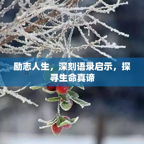 勵志人生，深刻語錄啟示，探尋生命真諦