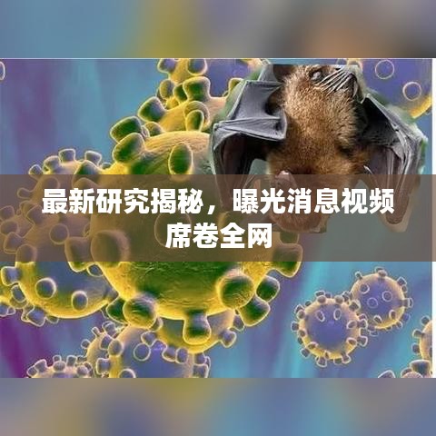 最新研究揭秘，曝光消息視頻席卷全網(wǎng)