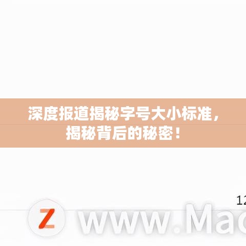 深度報道揭秘字號大小標準，揭秘背后的秘密！