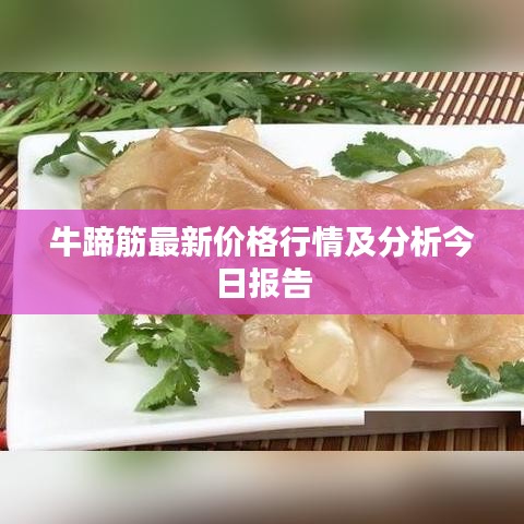 牛蹄筋最新價(jià)格行情及分析今日?qǐng)?bào)告