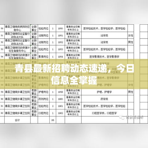 青縣最新招聘動(dòng)態(tài)速遞，今日信息全掌握