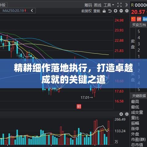 精耕細作落地執(zhí)行，打造卓越成就的關(guān)鍵之道