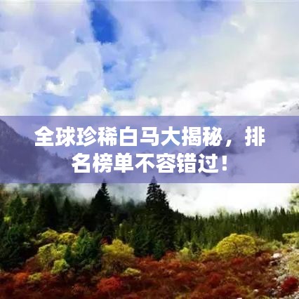 全球珍稀白馬大揭秘，排名榜單不容錯(cuò)過！