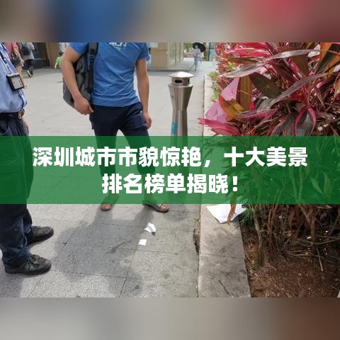 深圳城市市貌驚艷，十大美景排名榜單揭曉！
