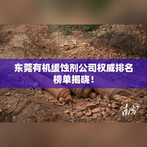 東莞有機(jī)緩蝕劑公司權(quán)威排名榜單揭曉！