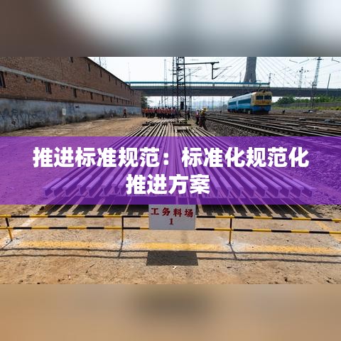 推進(jìn)標(biāo)準(zhǔn)規(guī)范：標(biāo)準(zhǔn)化規(guī)范化推進(jìn)方案 