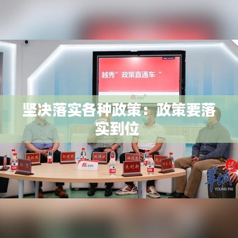 堅決落實各種政策：政策要落實到位 