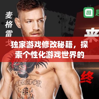 獨(dú)家游戲修改秘籍，探索個性化游戲世界的無限奧秘