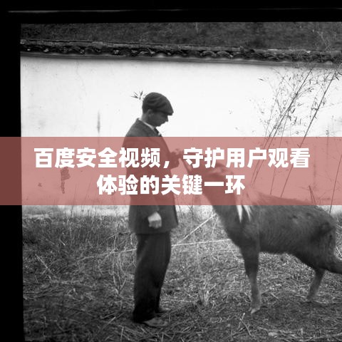 百度安全視頻，守護(hù)用戶觀看體驗(yàn)的關(guān)鍵一環(huán)