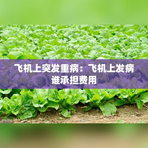 飛機(jī)上突發(fā)重?。猴w機(jī)上發(fā)病 誰(shuí)承擔(dān)費(fèi)用 