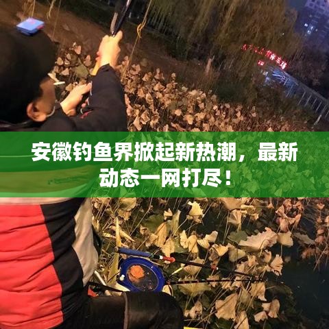 安徽釣魚界掀起新熱潮，最新動態(tài)一網(wǎng)打盡！
