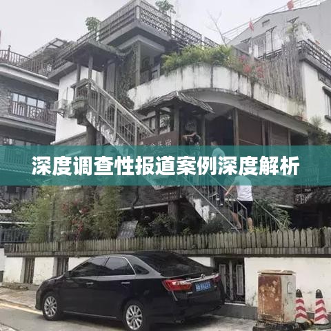 深度調(diào)查性報道案例深度解析
