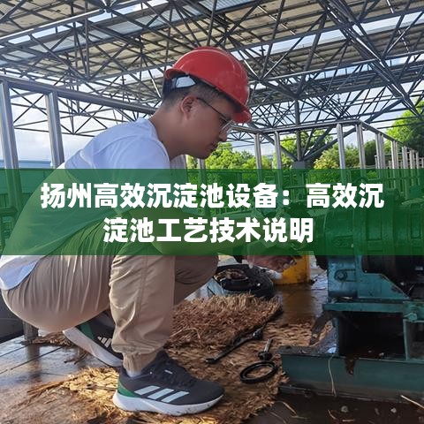 小鳥伊人 第5頁(yè)