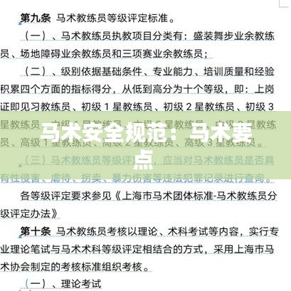 馬術安全規(guī)范：馬術要點 