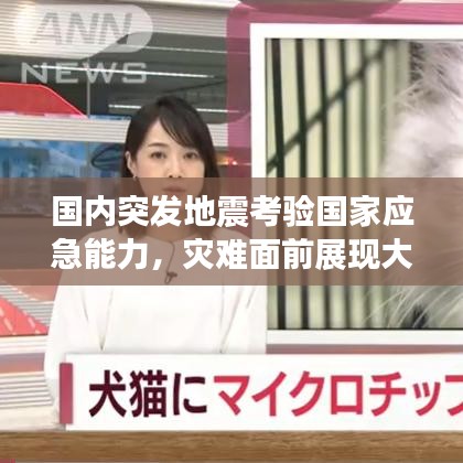 國內(nèi)突發(fā)地震考驗國家應(yīng)急能力，災(zāi)難面前展現(xiàn)大國擔(dān)當(dāng)