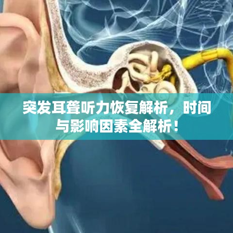 突發(fā)耳聾聽力恢復解析，時間與影響因素全解析！