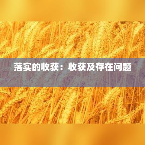 落實的收獲：收獲及存在問題 
