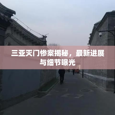 三亞滅門慘案揭秘，最新進展與細節(jié)曝光