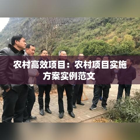 農(nóng)村高效項目：農(nóng)村項目實施方案實例范文 
