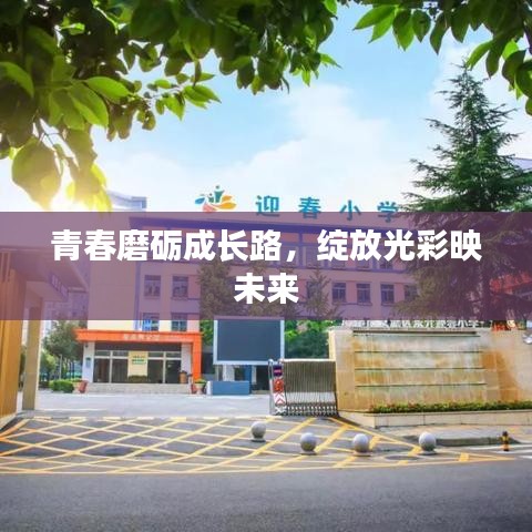 青春磨礪成長路，綻放光彩映未來