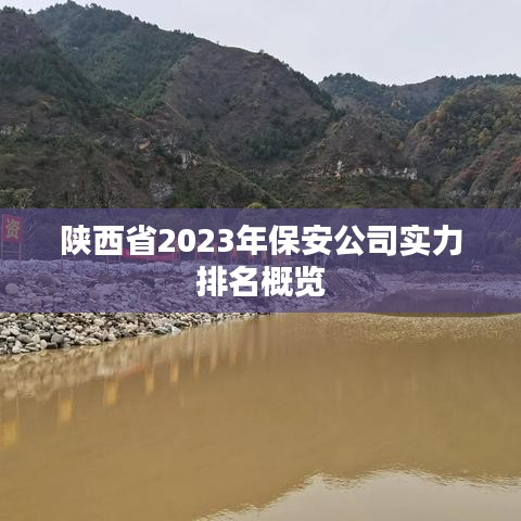 陜西省2023年保安公司實力排名概覽