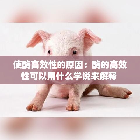 使酶高效性的原因：酶的高效性可以用什么學說來解釋 
