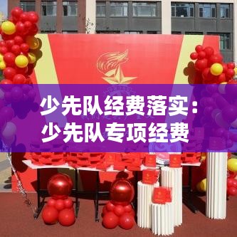 少先隊經費落實：少先隊專項經費 