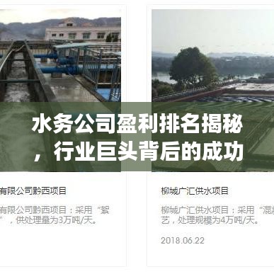 水務(wù)公司盈利排名揭秘，行業(yè)巨頭背后的成功秘訣大揭秘！