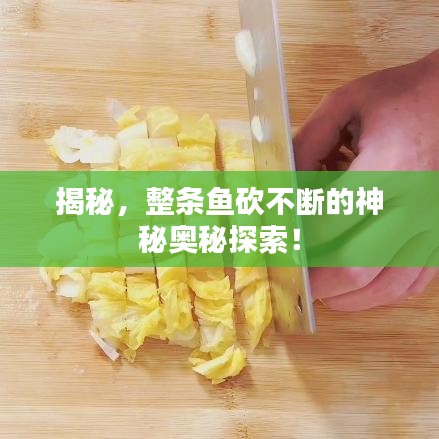 揭秘，整條魚砍不斷的神秘奧秘探索！