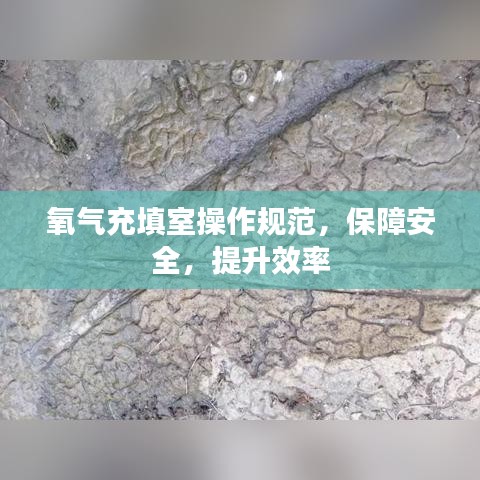 氧氣充填室操作規(guī)范，保障安全，提升效率