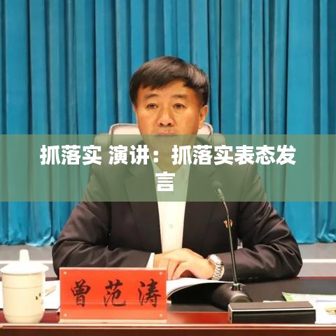 抓落實(shí) 演講：抓落實(shí)表態(tài)發(fā)言 