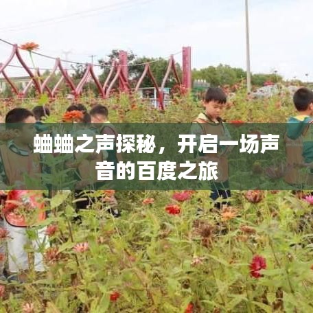 蛐蛐之聲探秘，開啟一場聲音的百度之旅