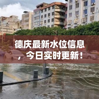 德慶最新水位信息，今日實時更新！