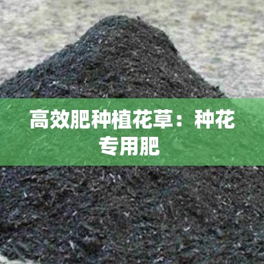 新聞中心 第324頁