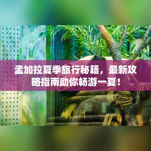 孟加拉夏季旅行秘籍，最新攻略指南助你暢游一夏！