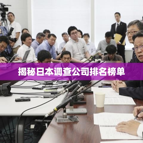 揭秘日本調(diào)查公司排名榜單