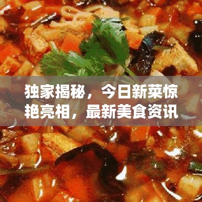 獨家揭秘，今日新菜驚艷亮相，最新美食資訊與獨家圖片一網(wǎng)打盡