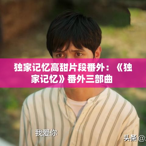 獨家記憶高甜片段番外：《獨家記憶》番外三部曲 