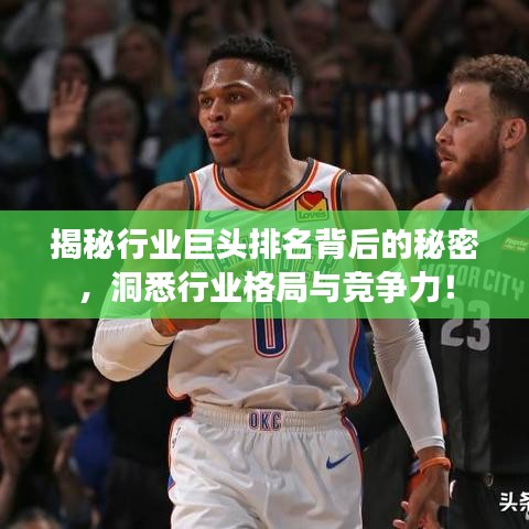 揭秘行業(yè)巨頭排名背后的秘密，洞悉行業(yè)格局與競(jìng)爭(zhēng)力！