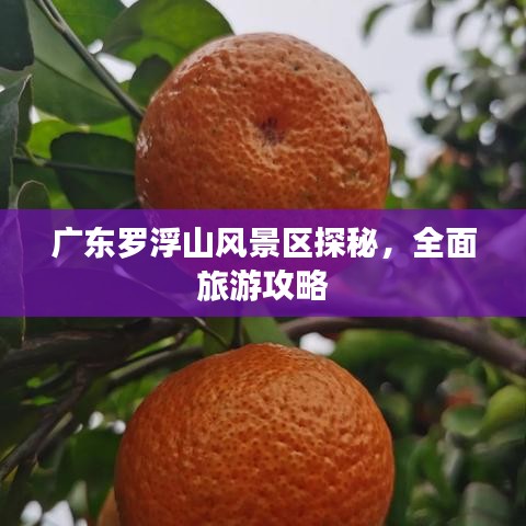 廣東羅浮山風(fēng)景區(qū)探秘，全面旅游攻略