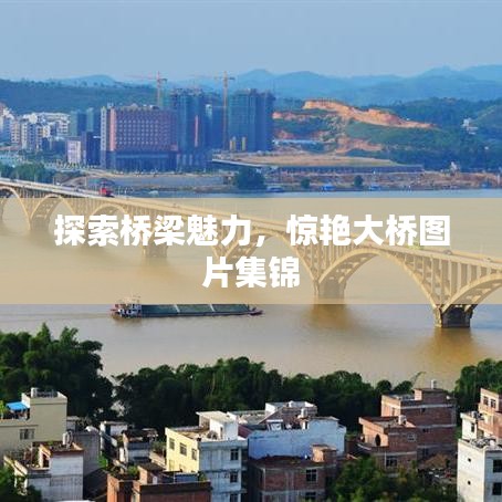 探索橋梁魅力，驚艷大橋圖片集錦