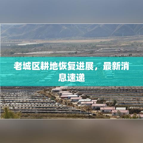 老城區(qū)耕地恢復進展，最新消息速遞