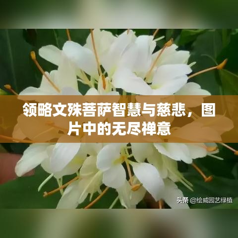 千載難逢 第4頁(yè)